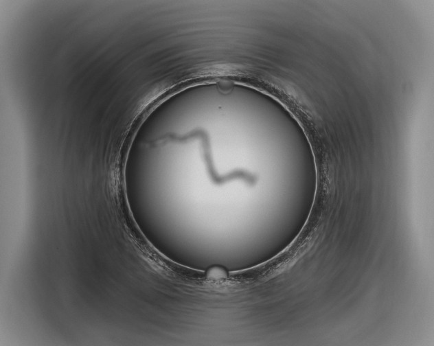 X0000116571073200912171459