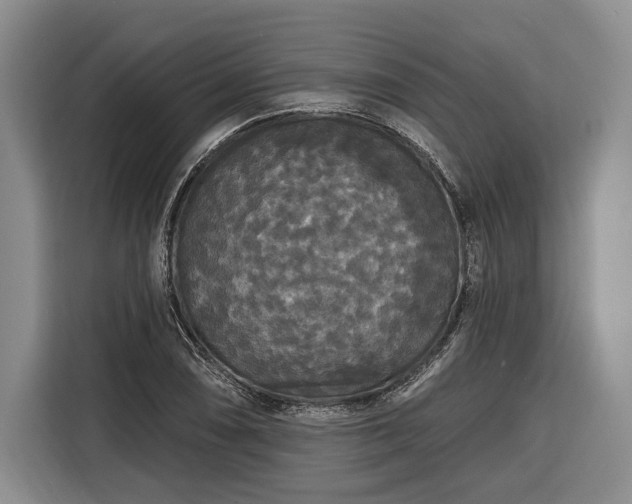 X0000116571074200912171459