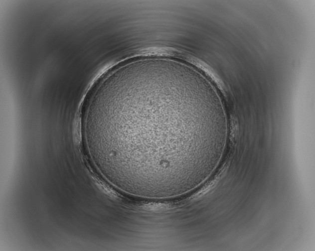 X0000116571075200912171459