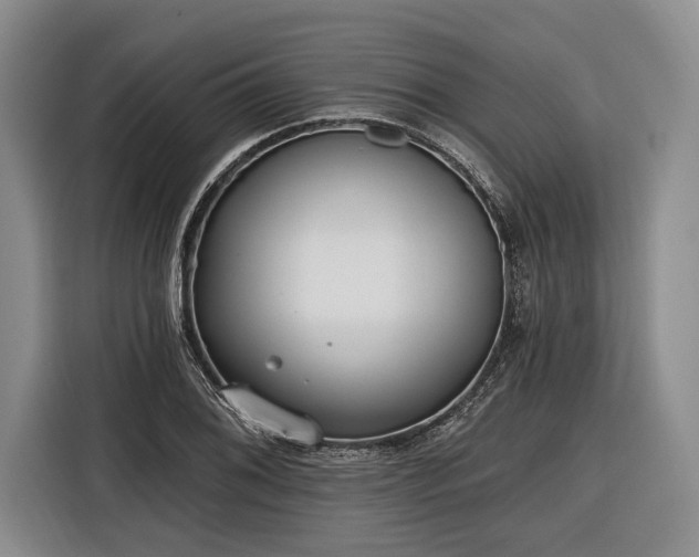 X0000116571076200912171459