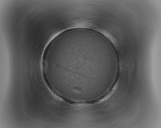 X0000116571077200912171459