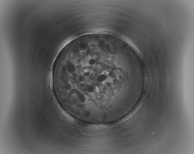 X0000116571079200912171459