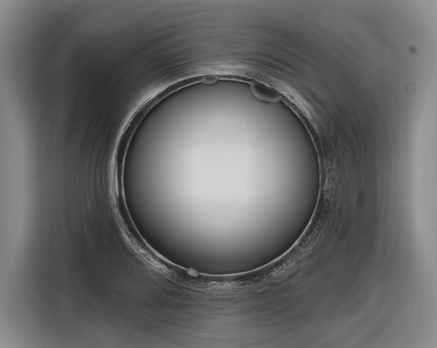 X0000116571080200912171459