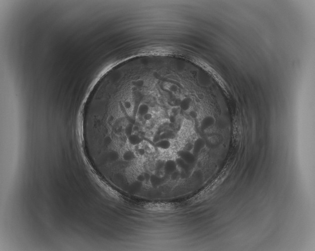 X0000116571083200912171459