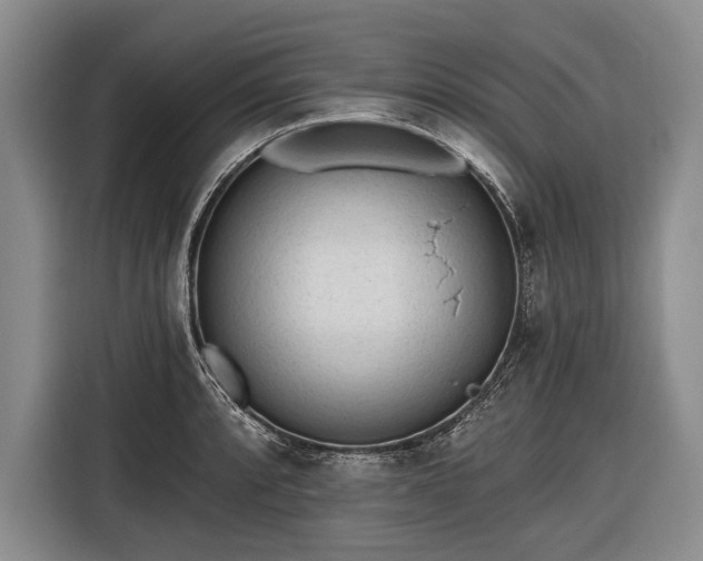 X0000116571088200912171459