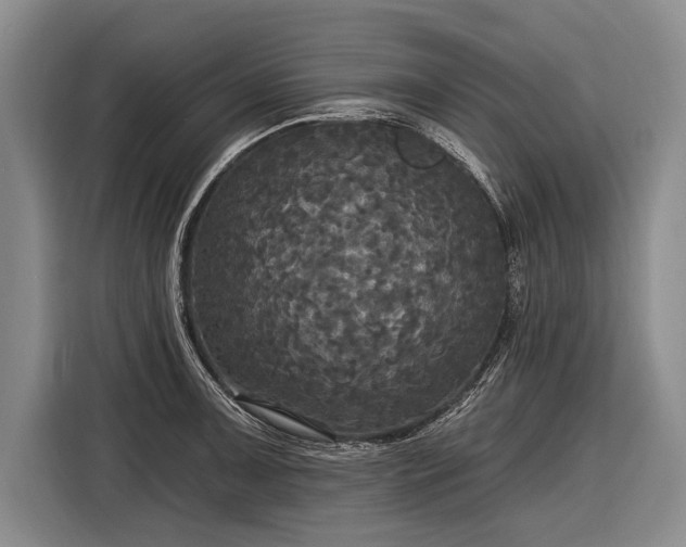 X0000116571091200912171459