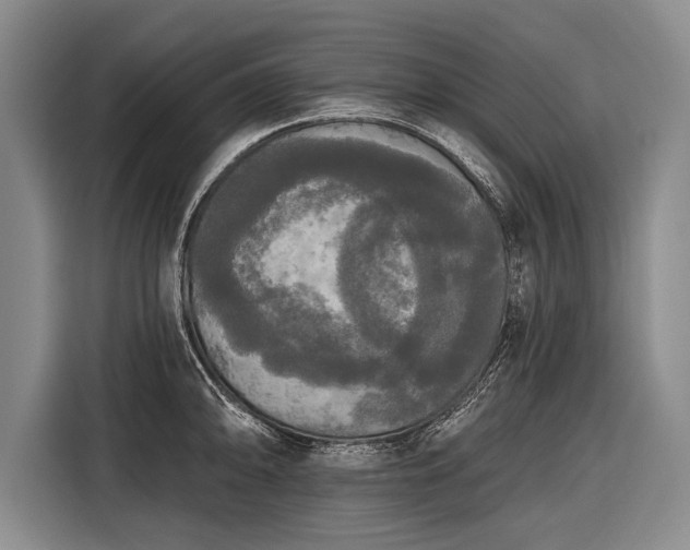 X0000116571094200912171459