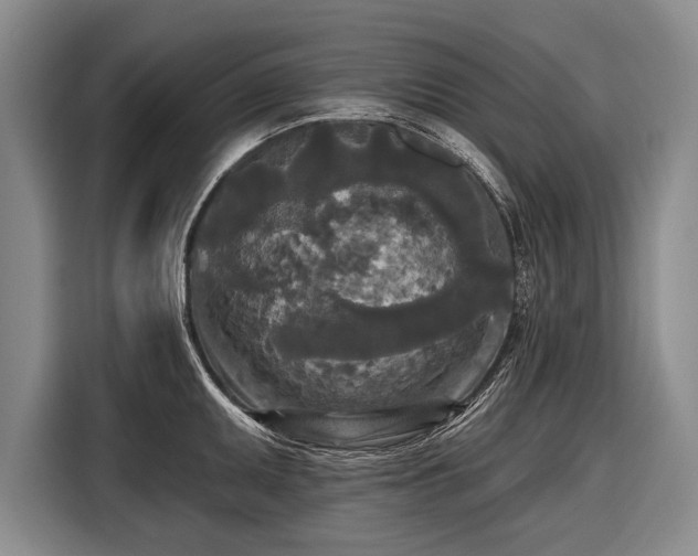 X0000116571095200912171459