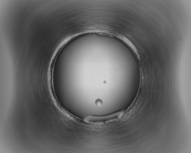 X0000116571096200912171459