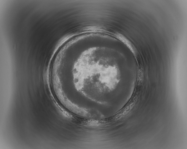 X0000116571098200912171459