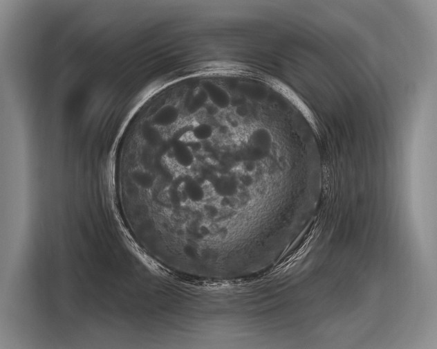 X0000116571099200912171459