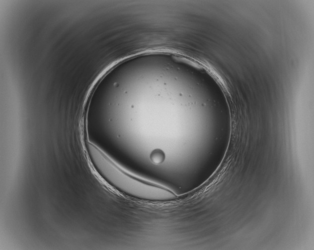 X0000116571100200912171459