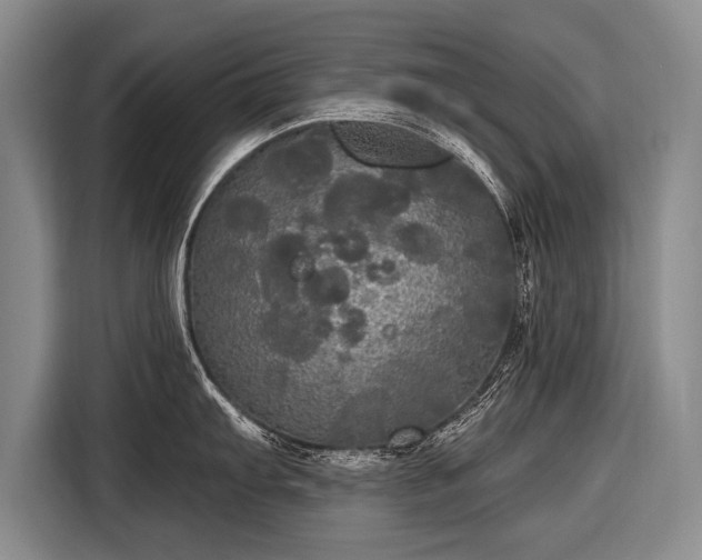 X0000116571103200912171459