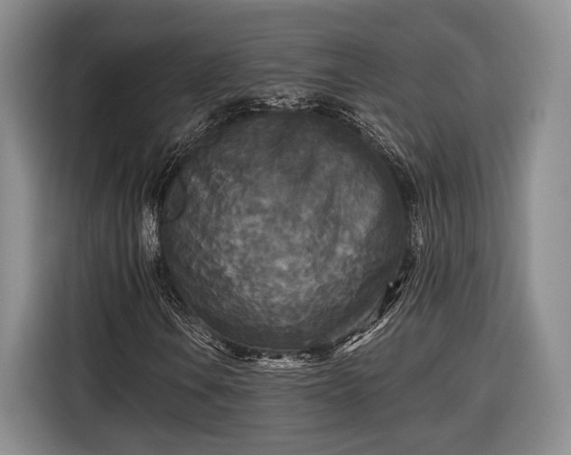 X0000116571106200912171458