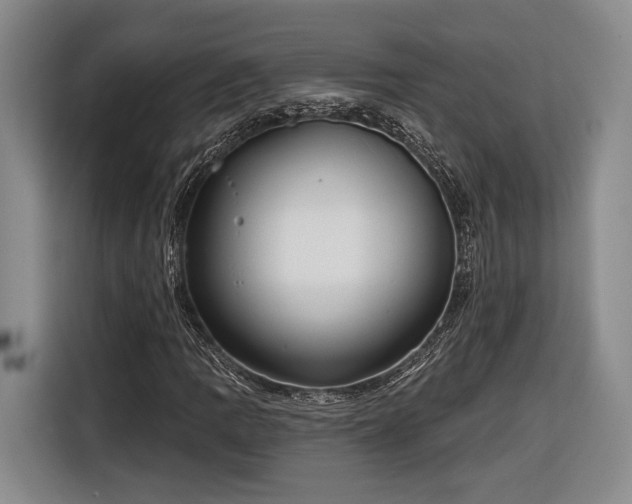 X0000116571109200912171458