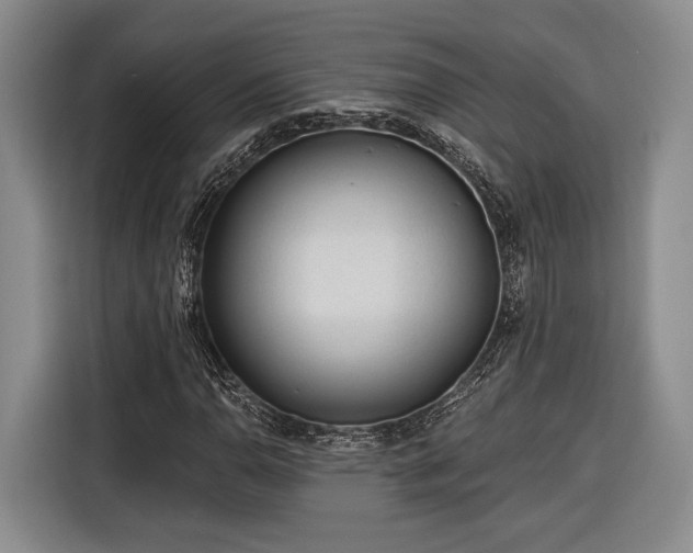 X0000116571110200912171458