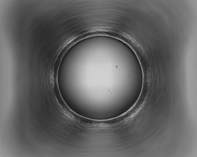 X0000116571113200912171458