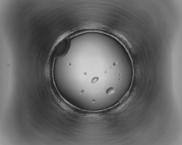 X0000116571114200912171458