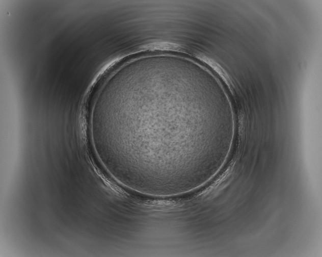 X0000116571115200912171458