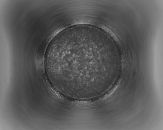 X0000116571121200912171458