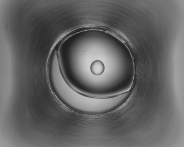 X0000116571122200912171458