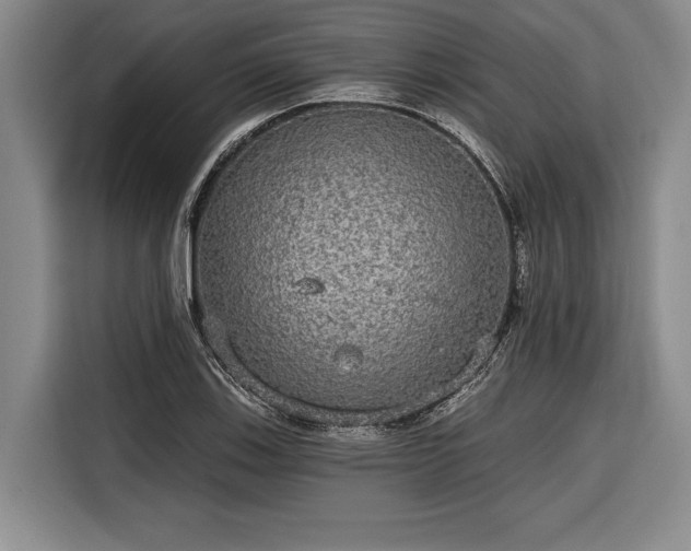 X0000116571123200912171458