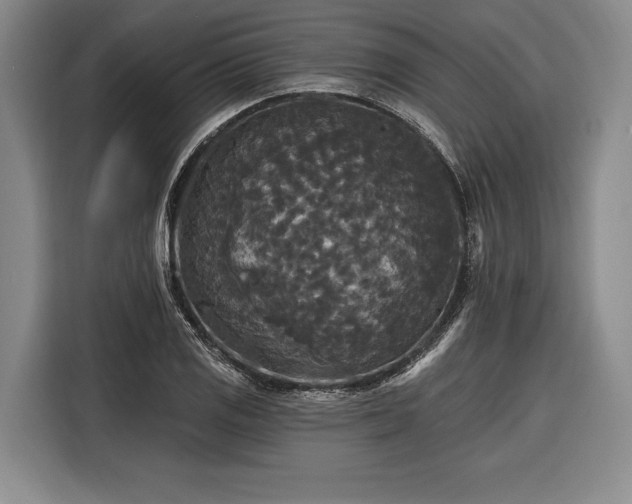 X0000116571125200912171458