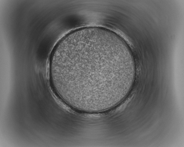 X0000116571126200912171458