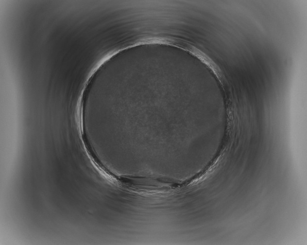 X0000116571127200912171458