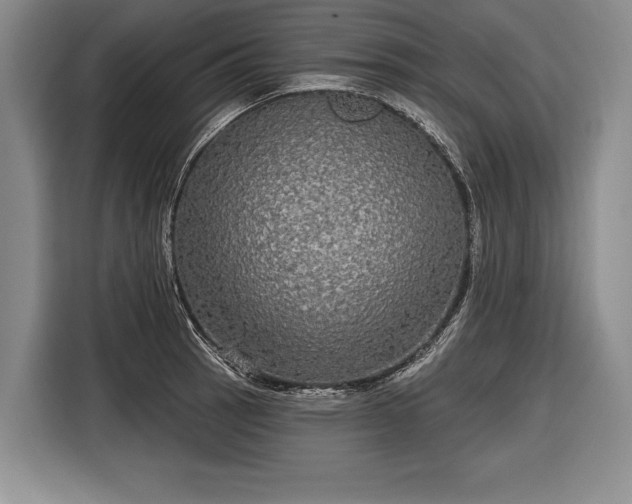 X0000116571137200912171458