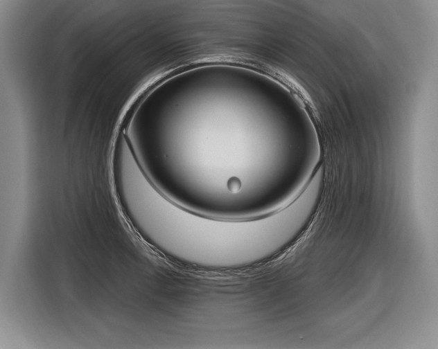 X0000116571138200912171458