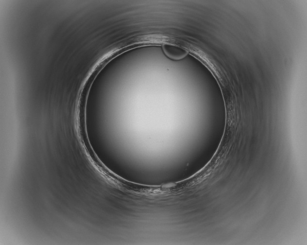 X0000116571139200912171458