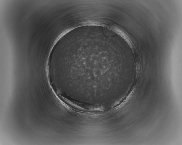 X0000116571141200912171458