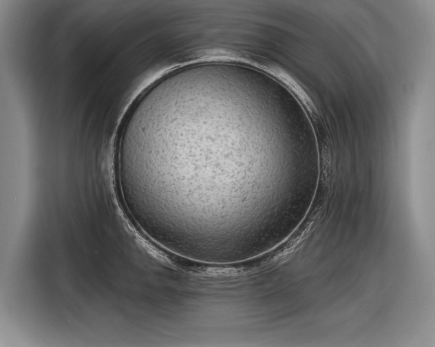 X0000116571142200912171458