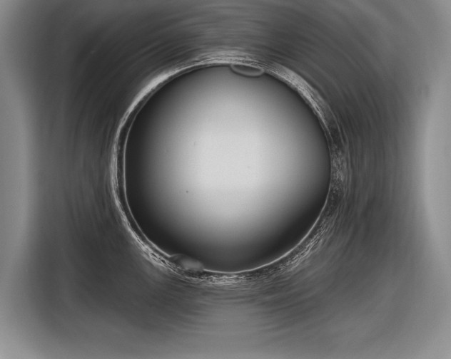 X0000116571147200912171459