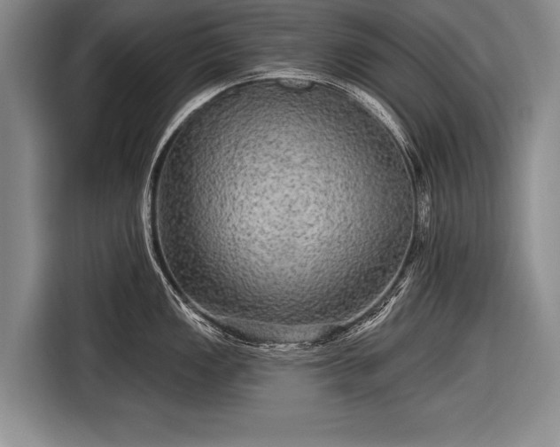 X0000116571149200912171459