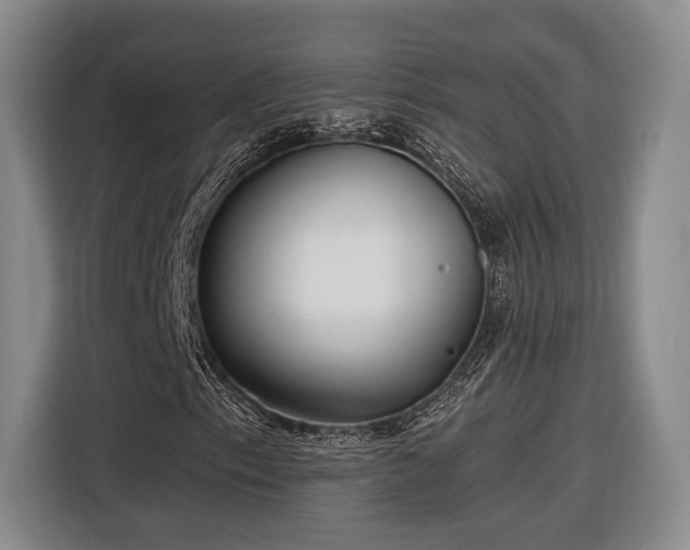 X0000116571153200912171458