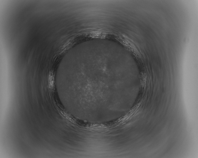 X0000116571154200912171458