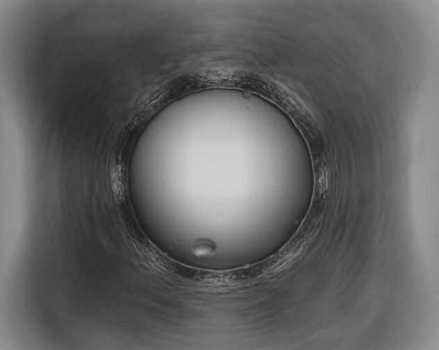 X0000116571156200912171458