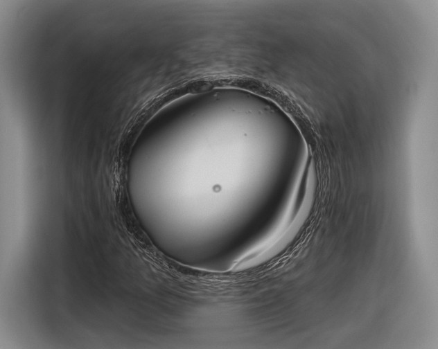 X0000116571157200912171458