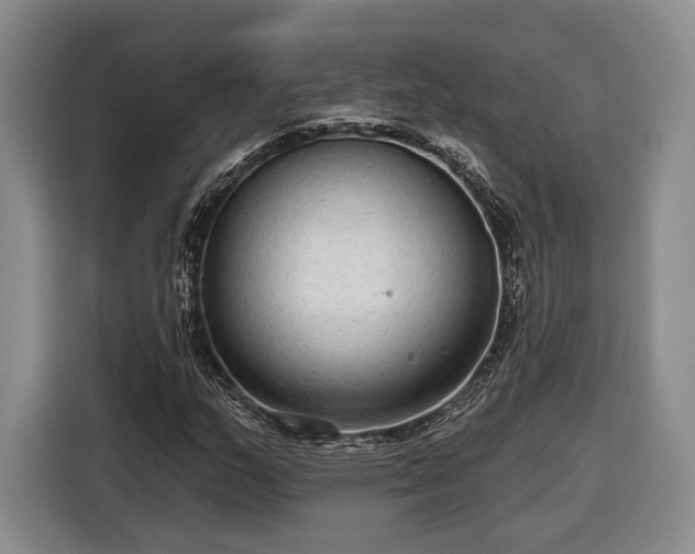 X0000116571159200912171458