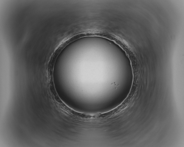 X0000116571160200912171458