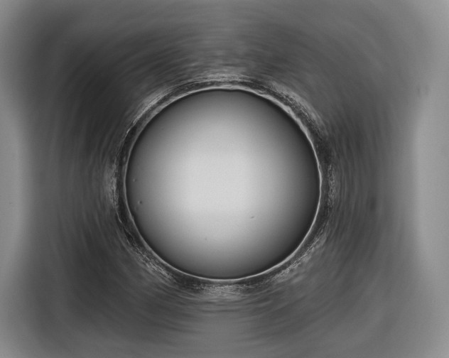 X0000116571162200912171458