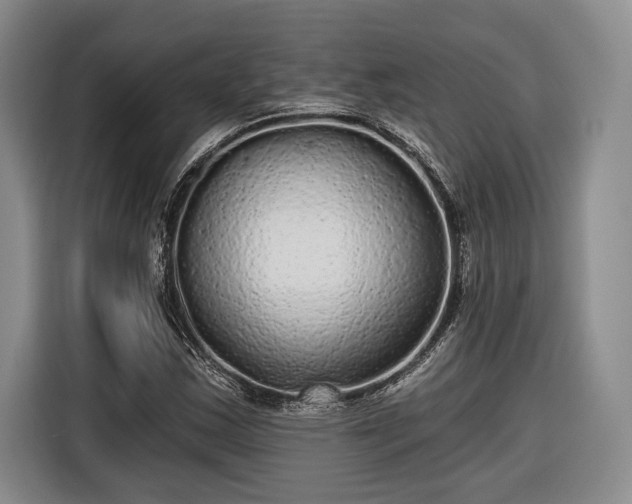 X0000116571163200912171458