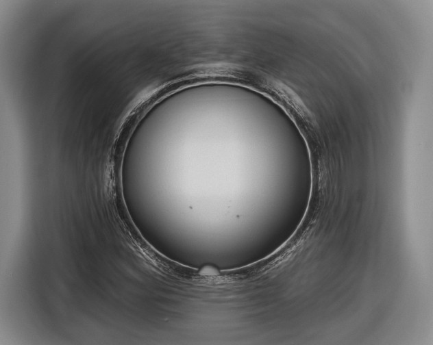 X0000116571164200912171458