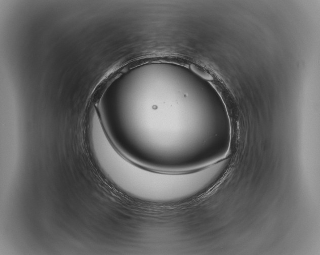 X0000116571165200912171458