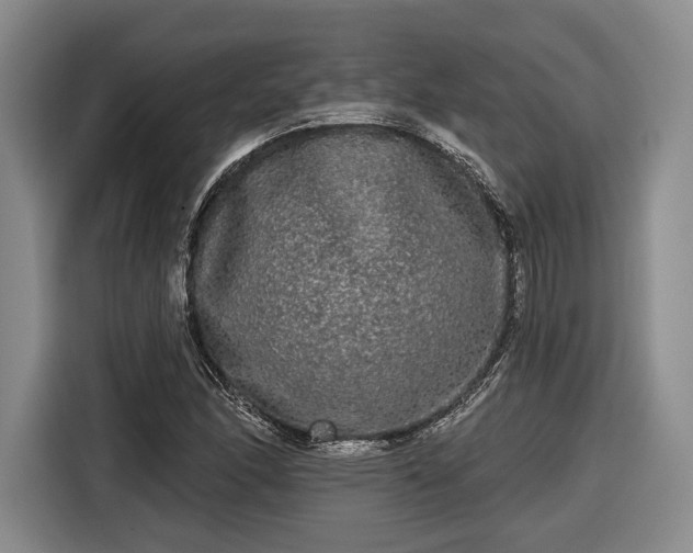 X0000116571166200912171458