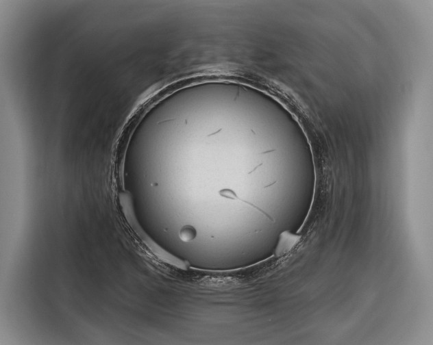 X0000116571168200912171458