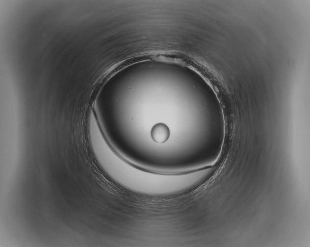 X0000116571169200912171458