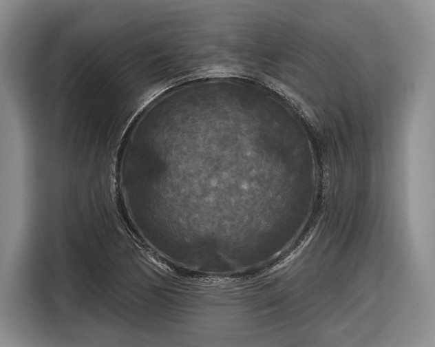 X0000116571170200912171458